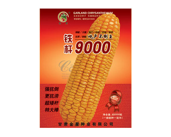 铁杆9000—玉米